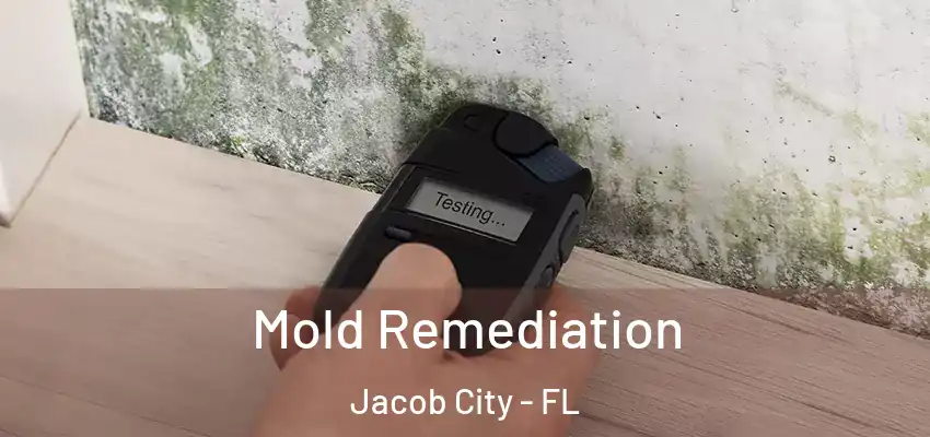 Mold Remediation Jacob City - FL