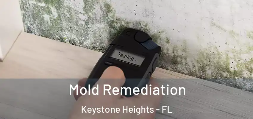  Mold Remediation Keystone Heights - FL