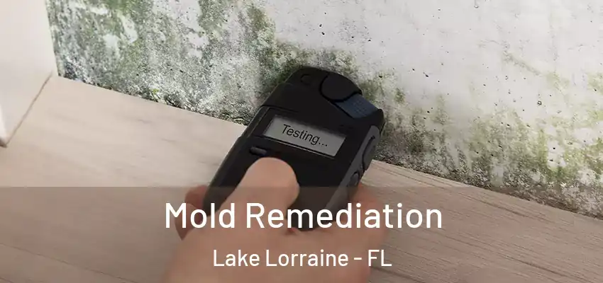  Mold Remediation Lake Lorraine - FL