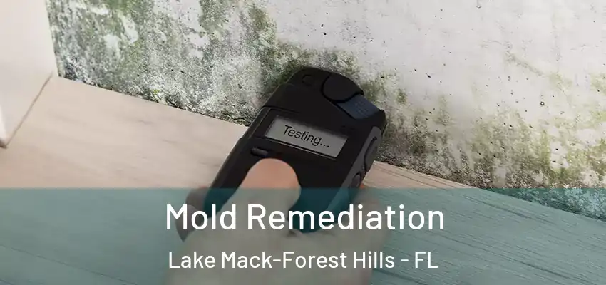  Mold Remediation Lake Mack-Forest Hills - FL