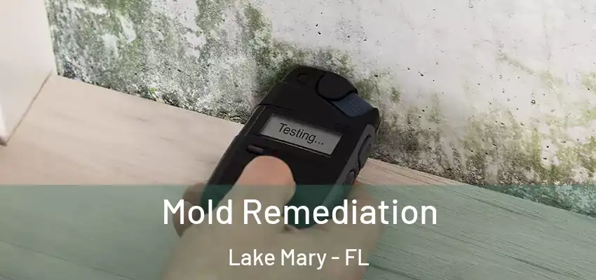  Mold Remediation Lake Mary - FL