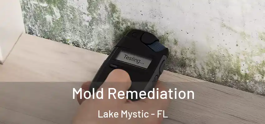 Mold Remediation Lake Mystic - FL
