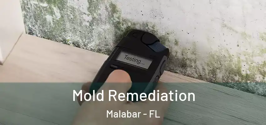  Mold Remediation Malabar - FL