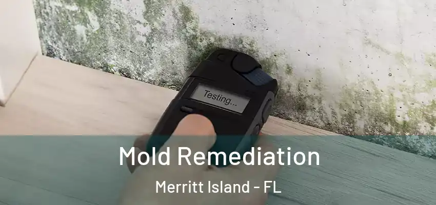  Mold Remediation Merritt Island - FL