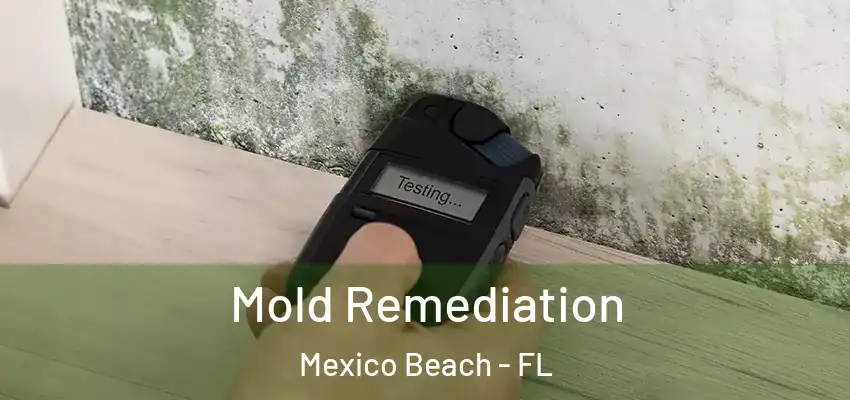  Mold Remediation Mexico Beach - FL