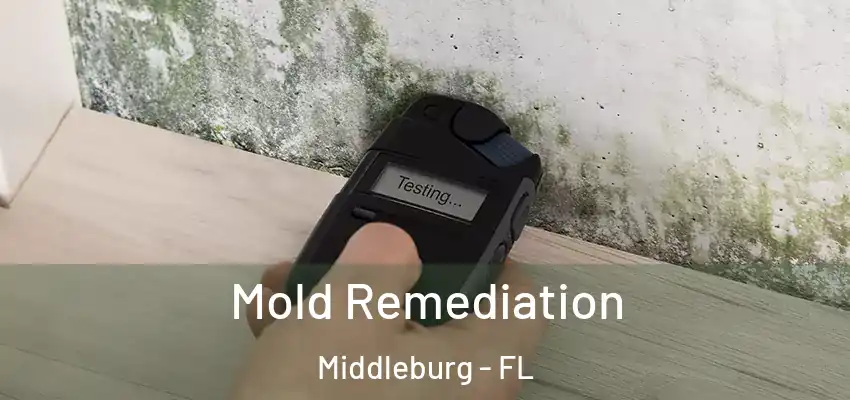  Mold Remediation Middleburg - FL