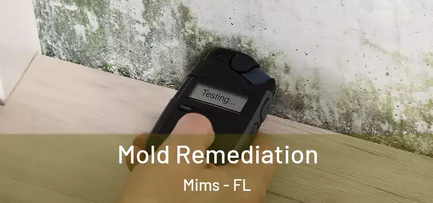  Mold Remediation Mims - FL