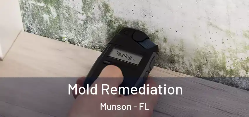  Mold Remediation Munson - FL