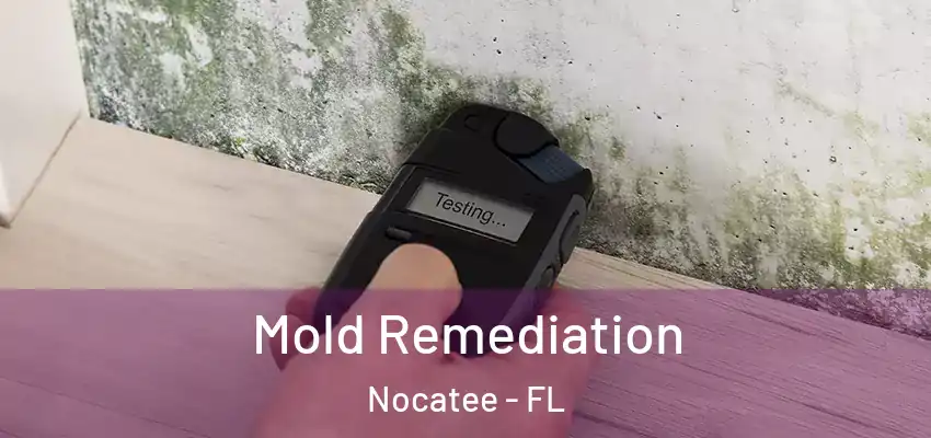 Mold Remediation Nocatee - FL