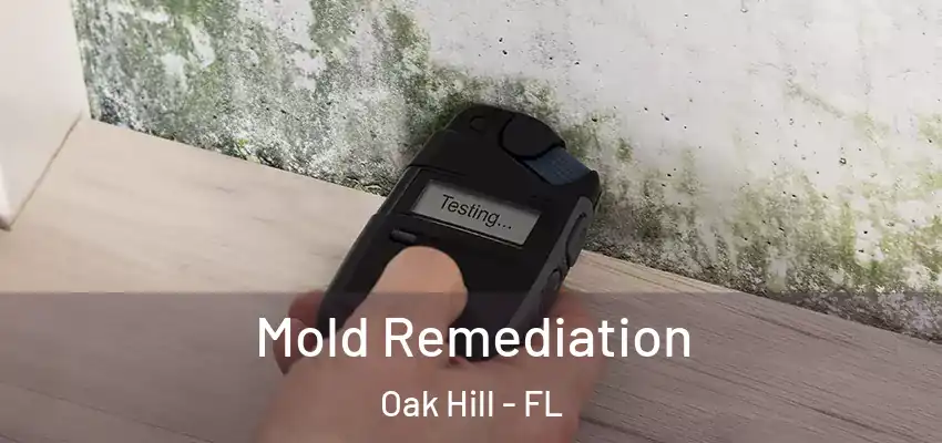  Mold Remediation Oak Hill - FL