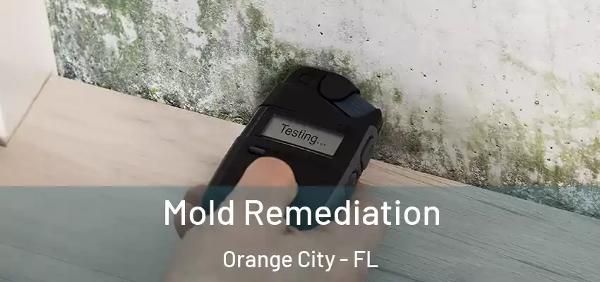Mold Remediation Orange City - FL