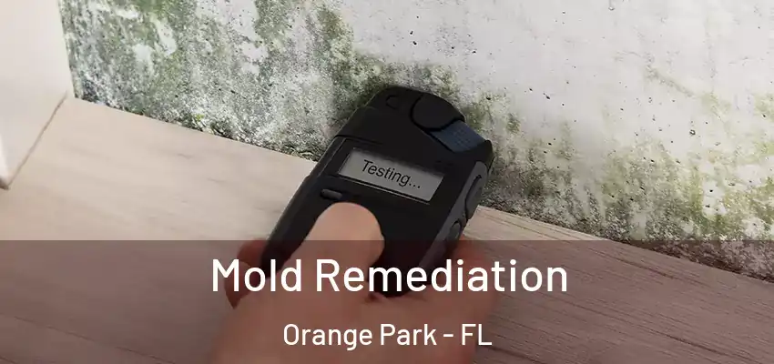  Mold Remediation Orange Park - FL