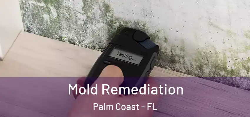  Mold Remediation Palm Coast - FL