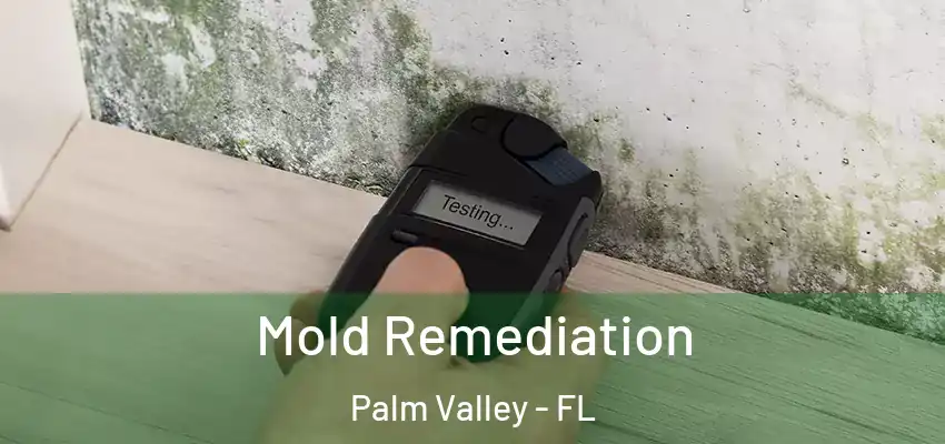 Mold Remediation Palm Valley - FL