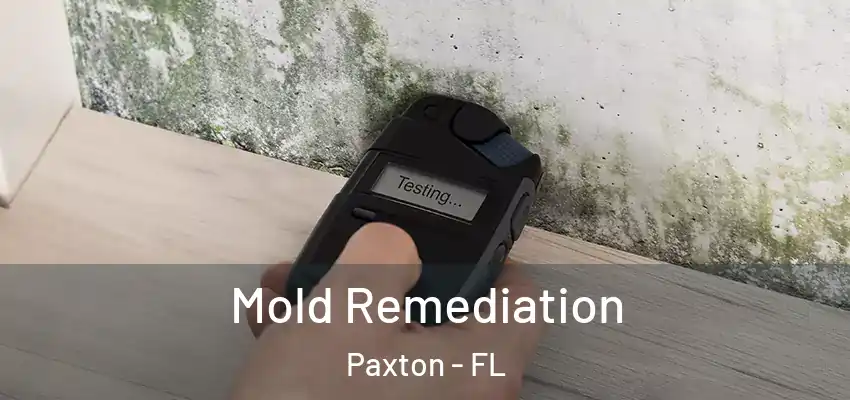  Mold Remediation Paxton - FL