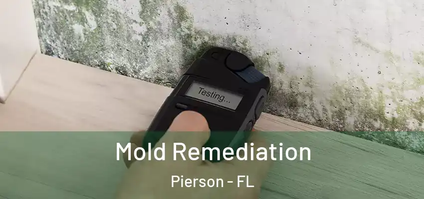 Mold Remediation Pierson - FL