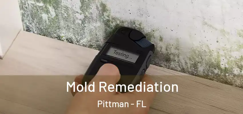  Mold Remediation Pittman - FL