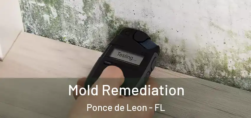  Mold Remediation Ponce de Leon - FL