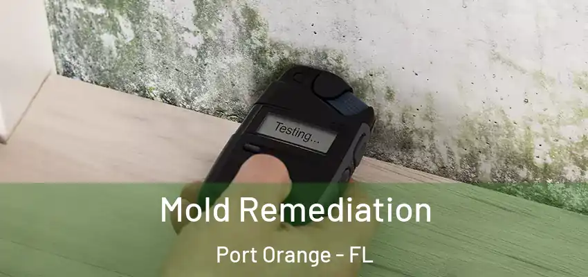 Mold Remediation Port Orange - FL