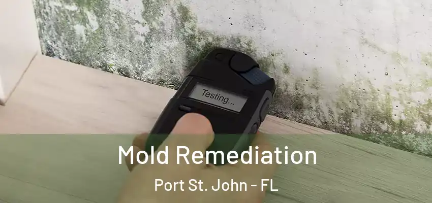  Mold Remediation Port St. John - FL