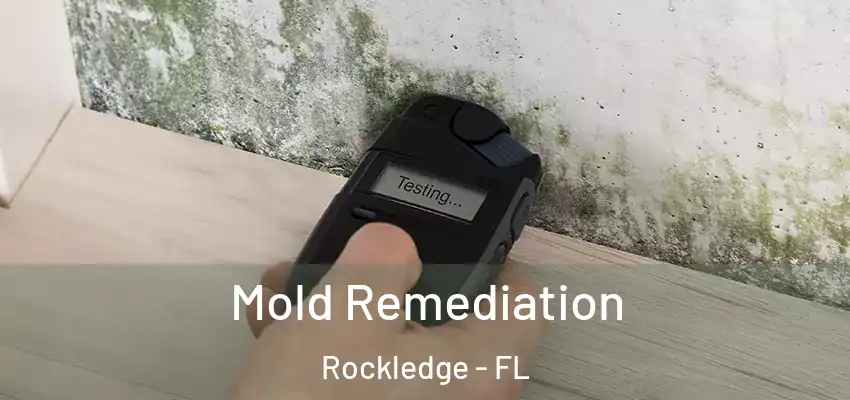  Mold Remediation Rockledge - FL