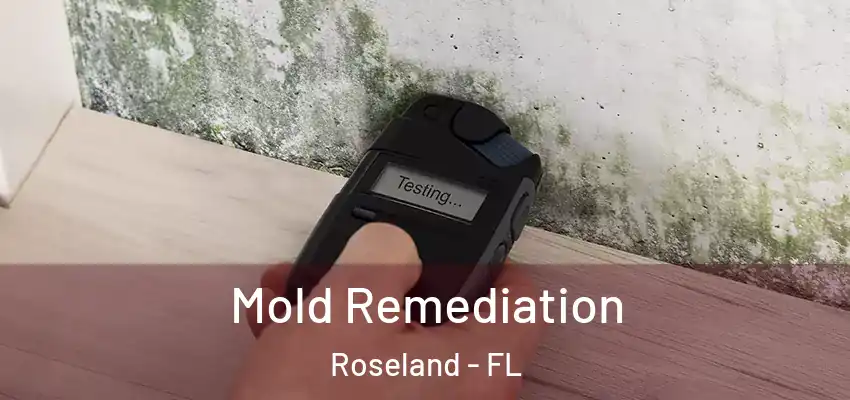 Mold Remediation Roseland - FL