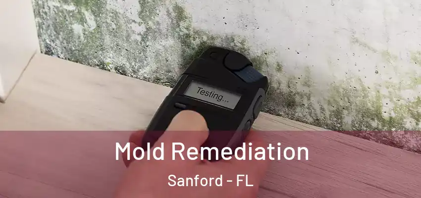 Mold Remediation Sanford - FL