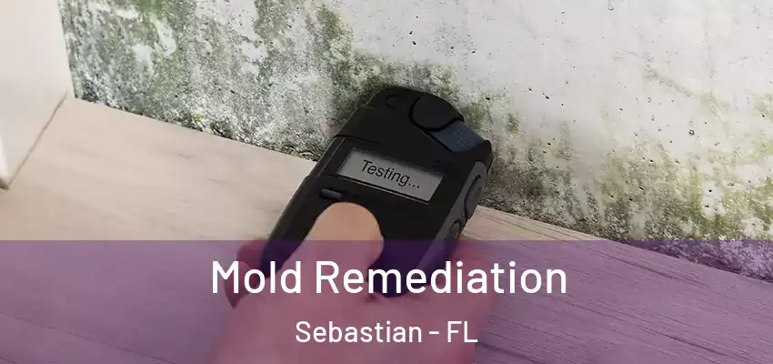 Mold Remediation Sebastian - FL