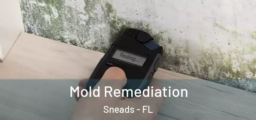  Mold Remediation Sneads - FL