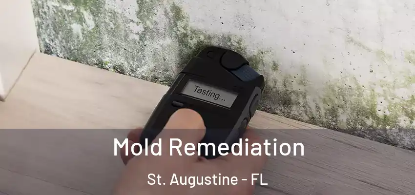  Mold Remediation St. Augustine - FL