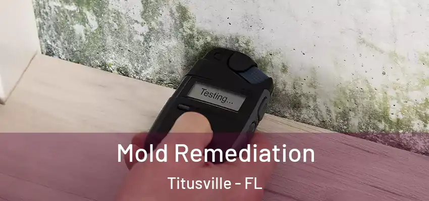  Mold Remediation Titusville - FL