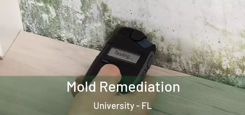  Mold Remediation University - FL