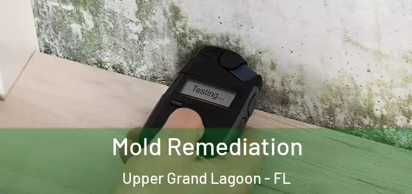  Mold Remediation Upper Grand Lagoon - FL