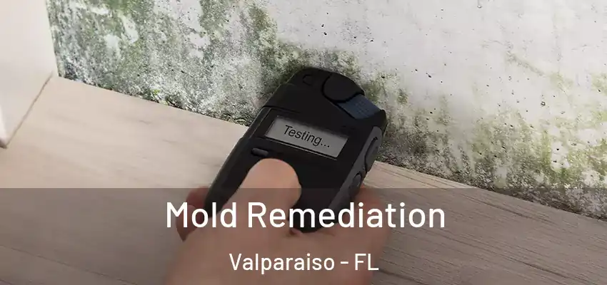  Mold Remediation Valparaiso - FL