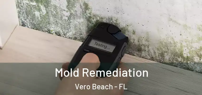  Mold Remediation Vero Beach - FL