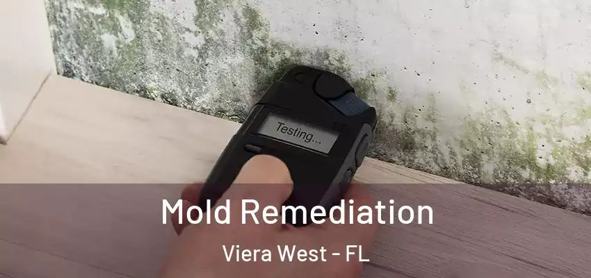 Mold Remediation Viera West - FL