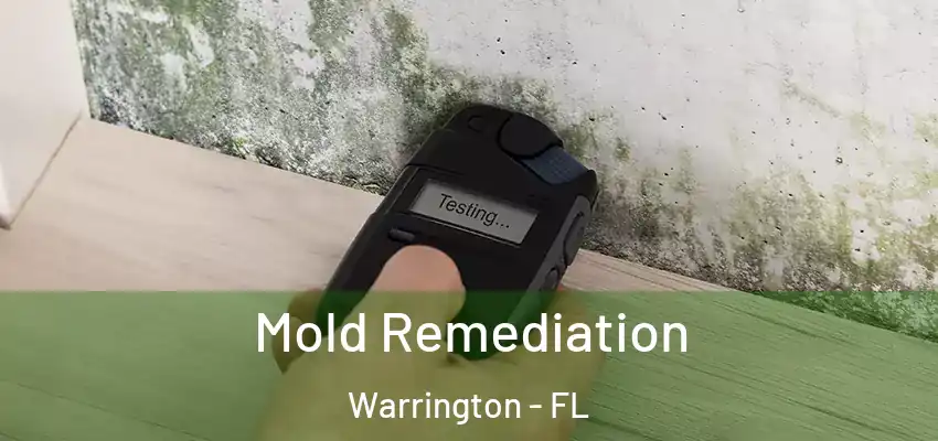 Mold Remediation Warrington - FL