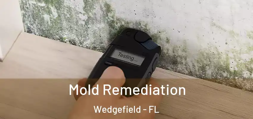  Mold Remediation Wedgefield - FL