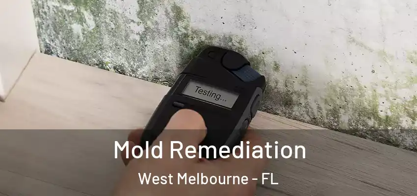  Mold Remediation West Melbourne - FL