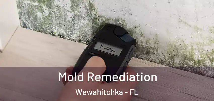  Mold Remediation Wewahitchka - FL