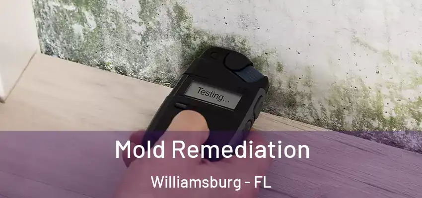 Mold Remediation Williamsburg - FL
