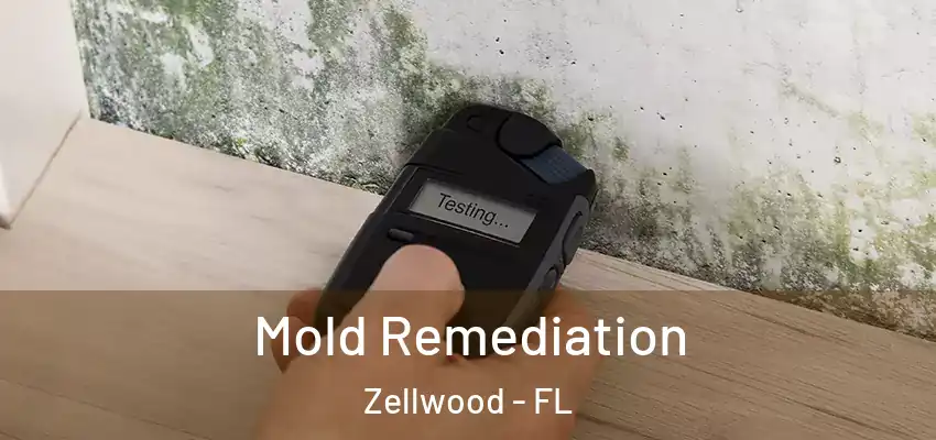 Mold Remediation Zellwood - FL