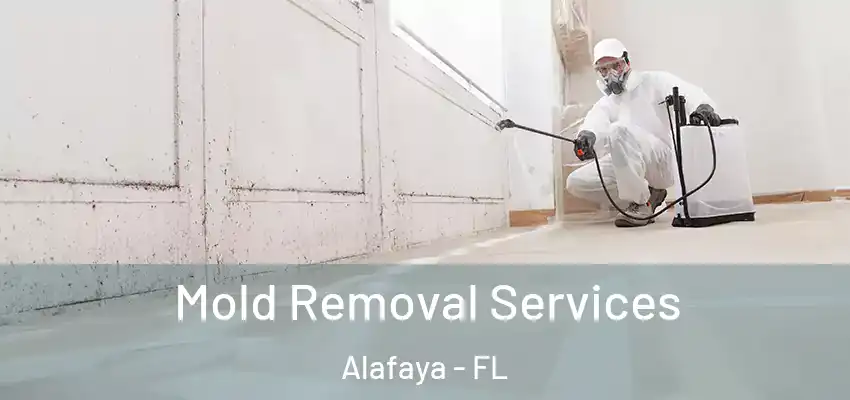 Mold Removal Services Alafaya - FL