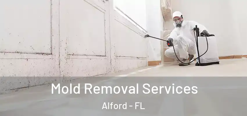  Mold Removal Services Alford - FL