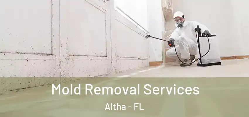 Mold Removal Services Altha - FL