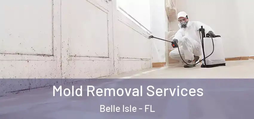 Mold Removal Services Belle Isle - FL