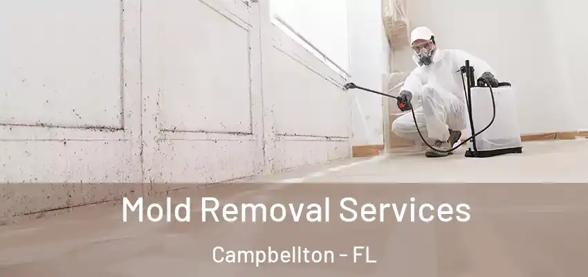  Mold Removal Services Campbellton - FL