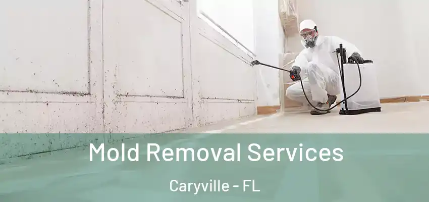  Mold Removal Services Caryville - FL
