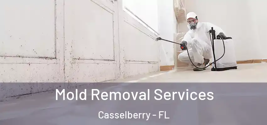  Mold Removal Services Casselberry - FL