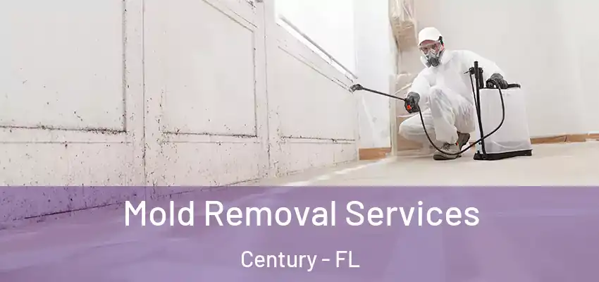  Mold Removal Services Century - FL